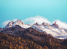 单板滑雪将在米兰大放异彩