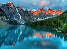 完美体育官方网站-西蓝花汁成冬奥选手热门补给